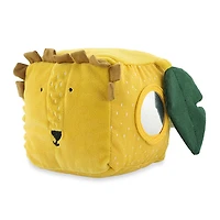 Activity Cube Mr Lion