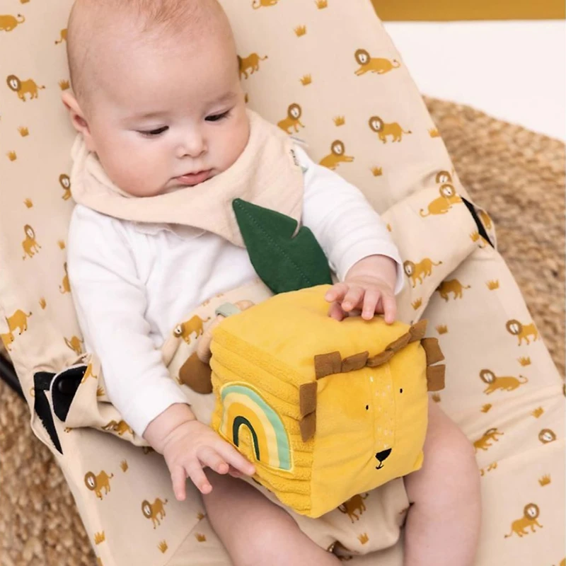 Activity Cube Mr Lion