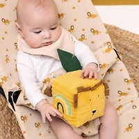 Activity Cube Mr Lion