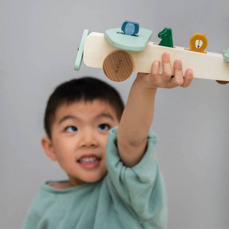 Wooden Animal Airplane