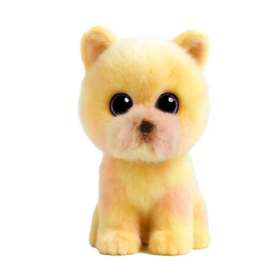 Palmer Pomeranian