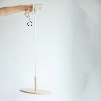 Circle Wooden Swing