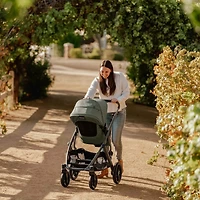 Stroller Vista V3 - Evelyn