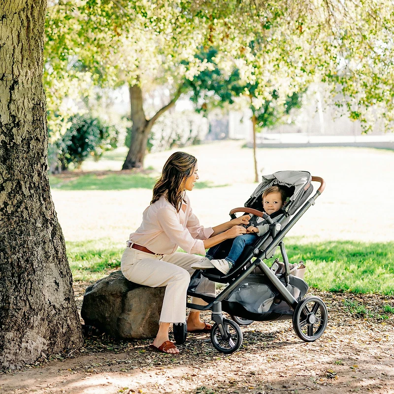 Vista V3 Stroller