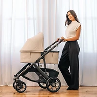 Landau Vista/Cruz V3