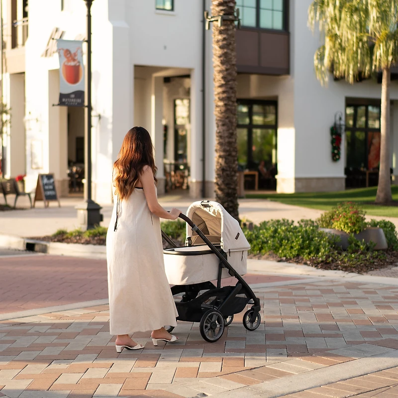 Landau Vista/Cruz V3