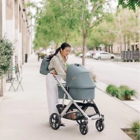 Vista/Cruz V3 Bassinet