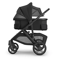 Landau Vista/Cruz V3 - Jake