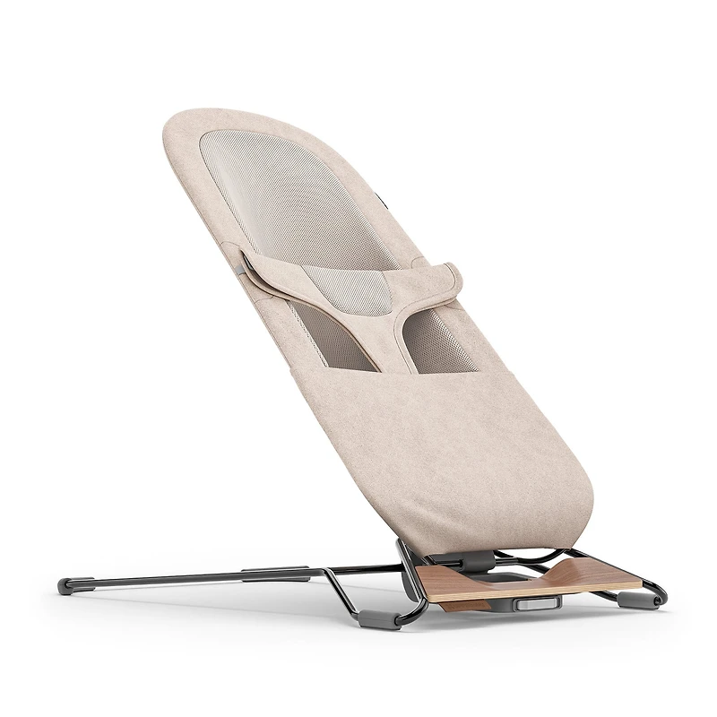 Mira 2 in 1 Bouncer and Seat - Charlie