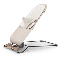 Mira 2 in 1 Bouncer and Seat - Charlie