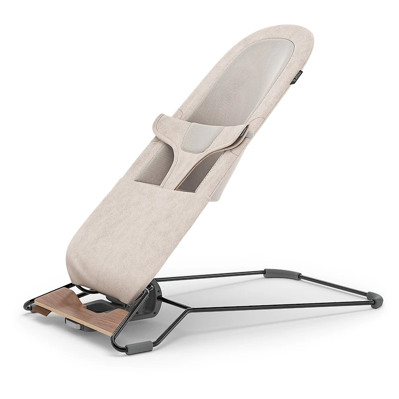 Mira 2 in 1 Bouncer and Seat - Charlie