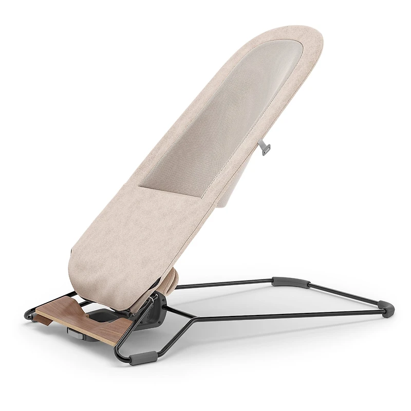 Mira 2 in 1 Bouncer and Seat - Charlie