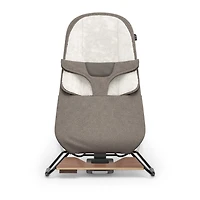 Mira 2 in 1 Bouncer and Seat - Wells