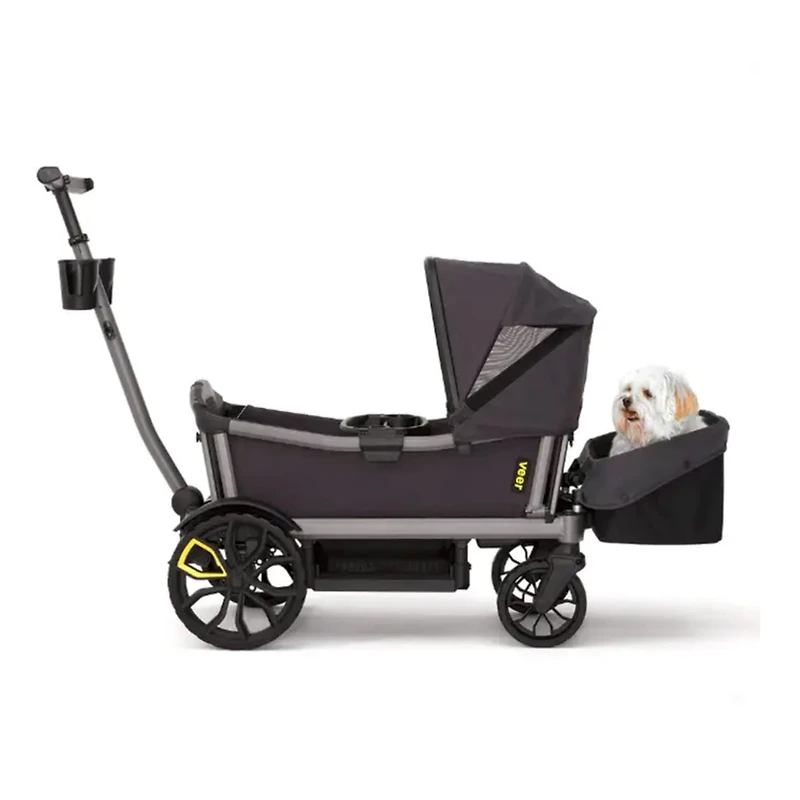 Panier de Transport pour Cruiser City