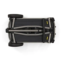 Chariot Veer Cruiser City