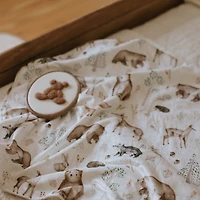 Minky Little Blanket