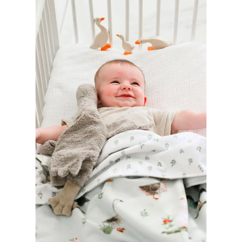 Minky Little Blanket - Placoteuses