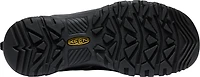 M Targhee IV Mid WP Bison
