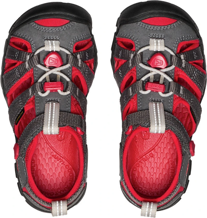 C Seacamp II CNX Magnet Red Carpet