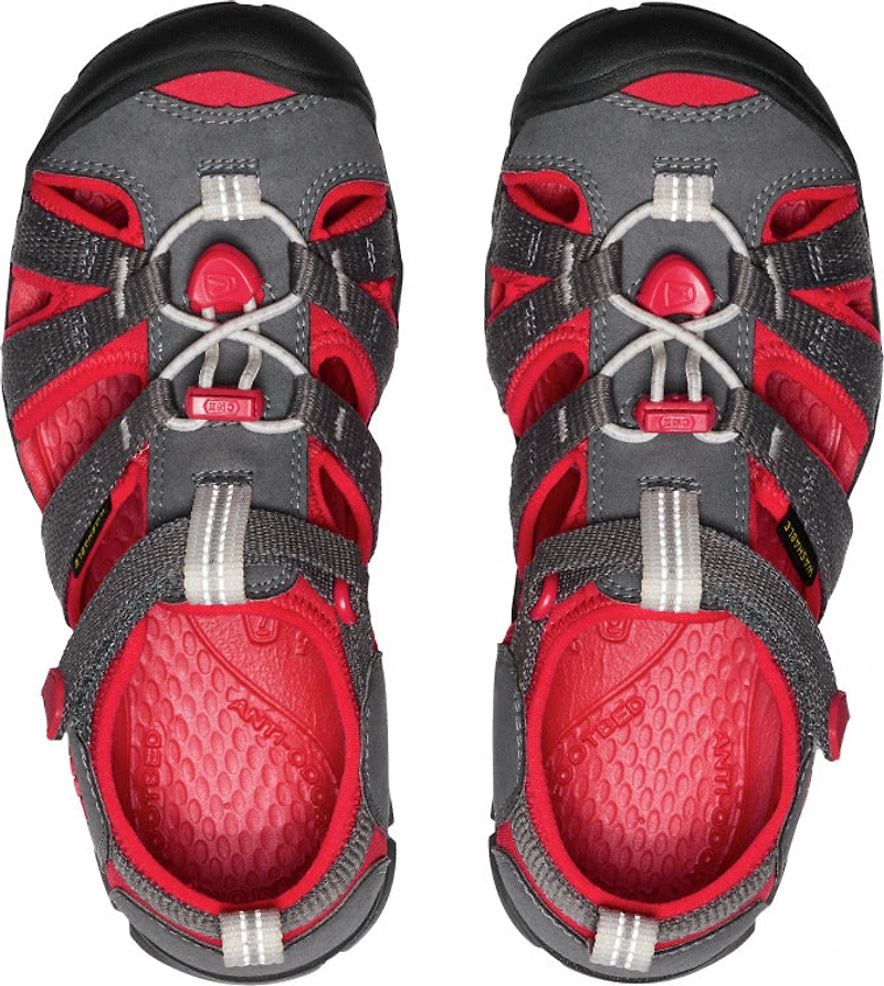 Y Seacamp II CNX Magnet Red Carpet