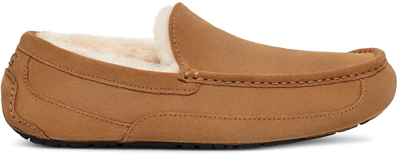 Ascot Chestnut