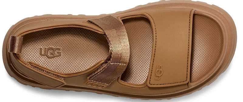 Goldenglow Bison Brown