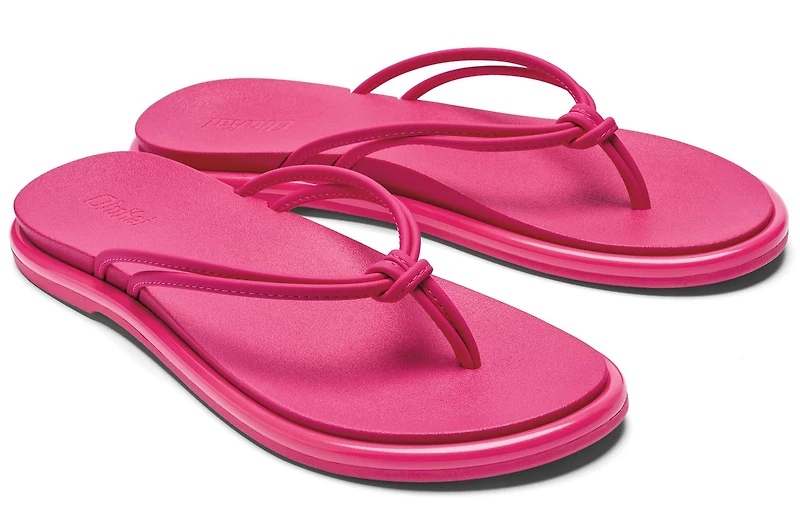 Aka Pink Plumeria /