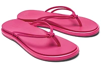 Aka Pink Plumeria /