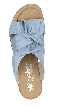 Blue Wedge Slide