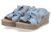 Blue Wedge Slide