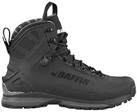 Borealis Blackout