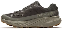 Men's Agility Peak 5 GTX - Beluga Talus