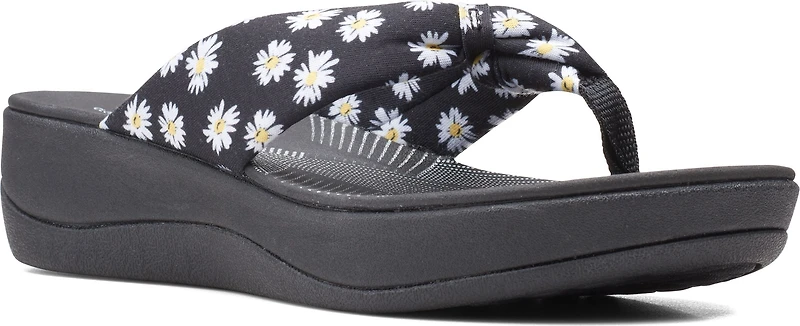 Arla Glison Black Daisies