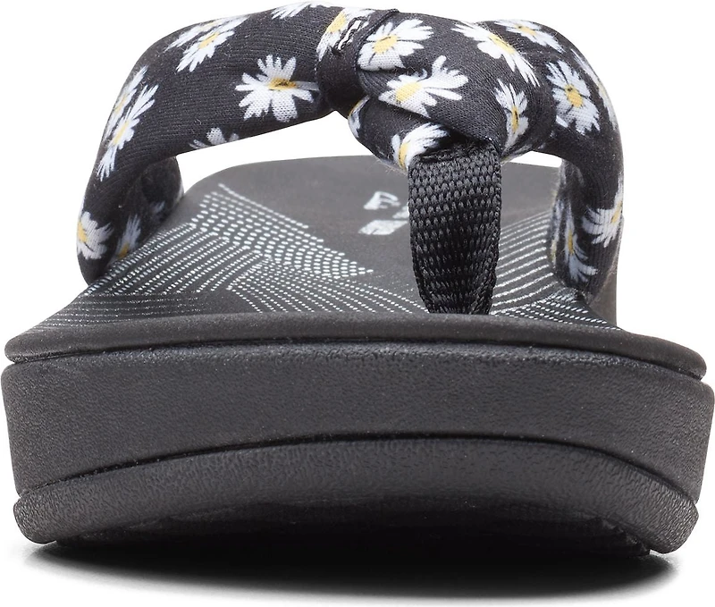 Arla Glison Black Daisies