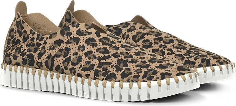 Tulip139 Leopard