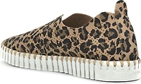 Tulip139 Leopard