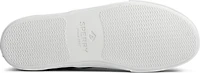 Striper II Cvo Black