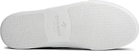 Striper II Cvo Navy