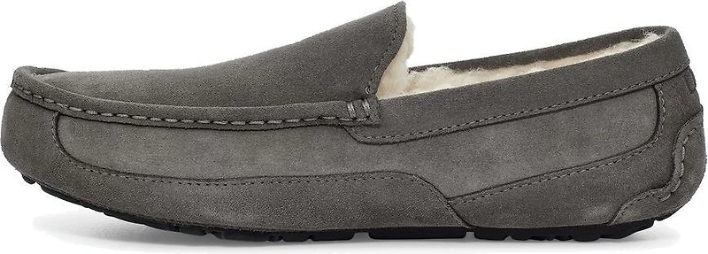 Ascot Grey