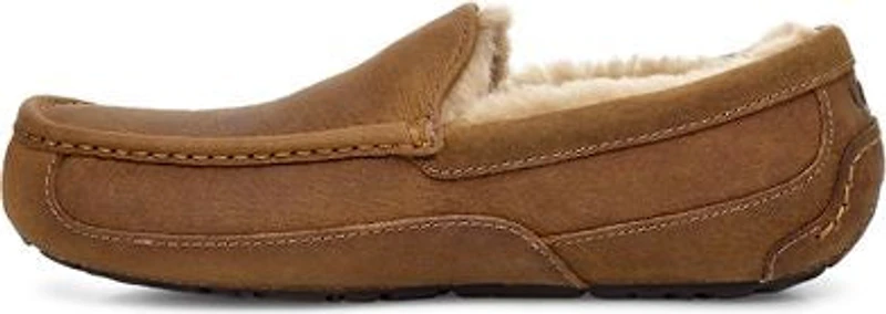 Ascot Tan