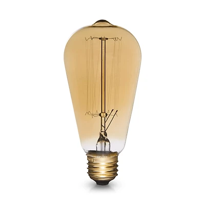 Vintage Edison Light Bulb