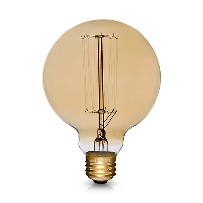 Vintage Edison Globe Light Bulb