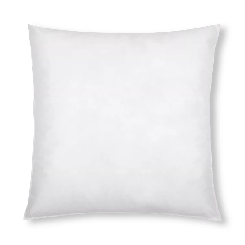Pillow Insert