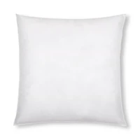 Pillow Insert