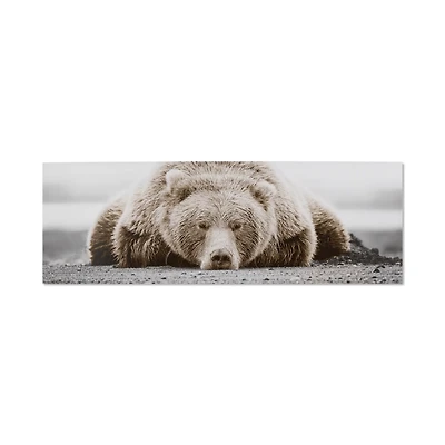 Sleepy Bear Printed Canvas