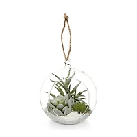 Hanging Terrarium with Artificial Succulent