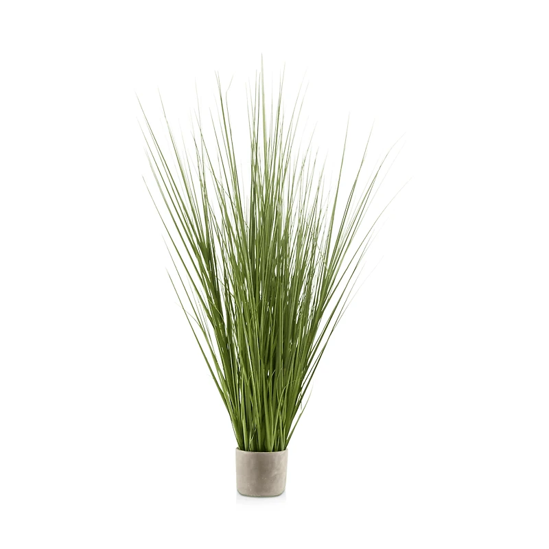 Tall Grass in Cement Pot