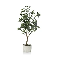 Large Artificial Aralia Tree