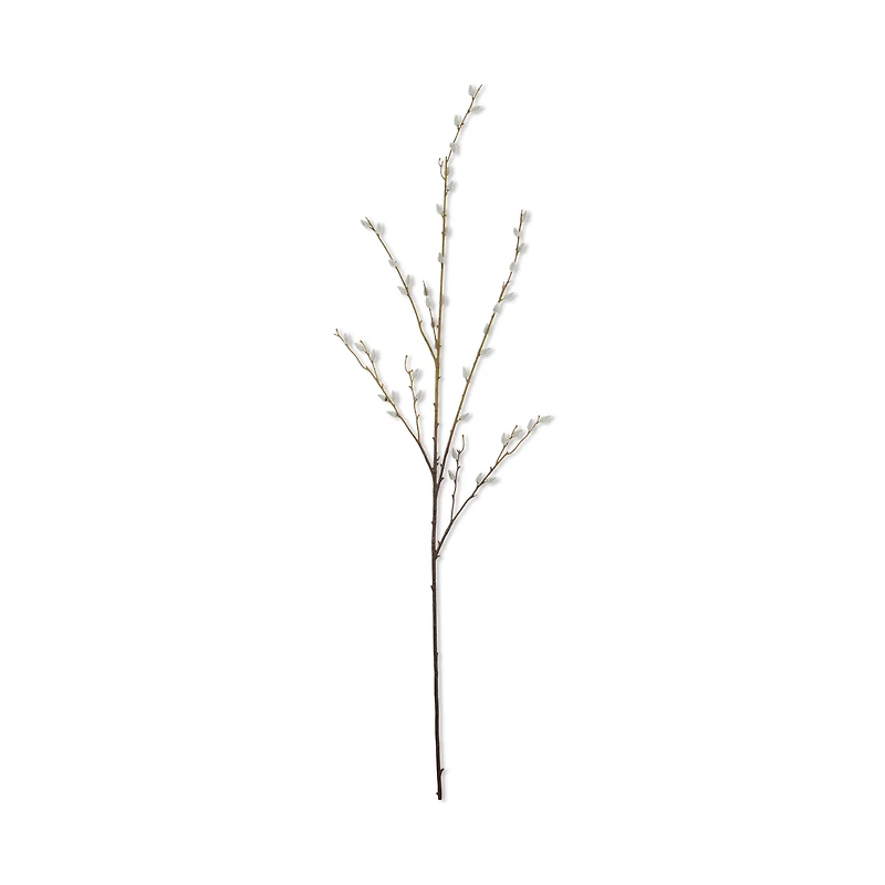 Pussy Willow Stem
