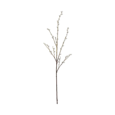 Pussy Willow Stem